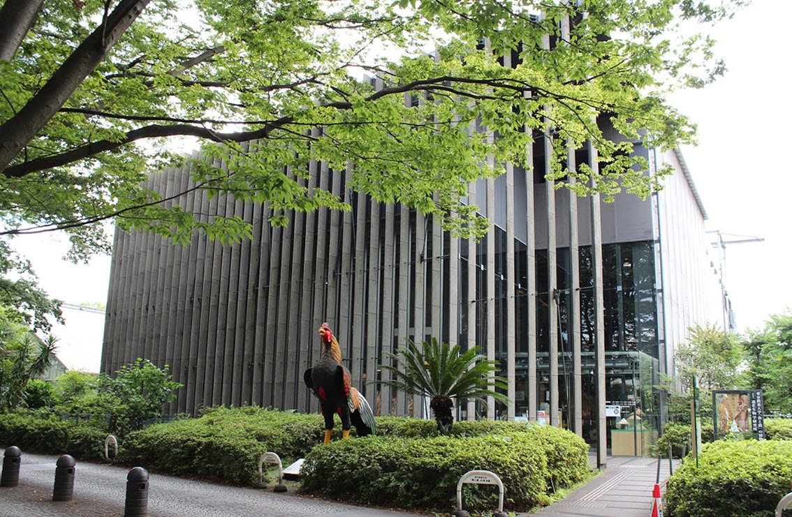 Tokyo University of Agriculture Botanical Garden, Atsugi, Japan, Japan